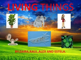 LIVING THINGS

BY:ZAIRA,RAUL,ALEX AND ESTELA.

 