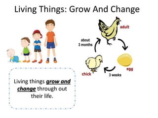 Living Things: Grow And Change 
Living things grow and 
change through out 
their life. 
 
