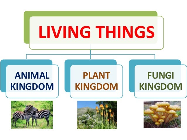 Living things: Kingdoms