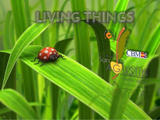 UNIT 3. NATURAL SCIENCE: LIVING THINGS