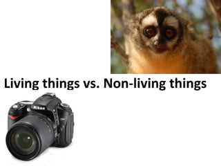 Living things vs. Non-living things
 