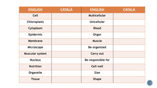 ENGLISH CATALÀ ENGLISH CATALÀ
Cell Multicellular
Chloroplasts Unicellular
Cytoplasm Blood
Epidermis Organ
Membrane Muscle
Microscope Be organized
Muscular system Carry out
Nucleus Be responsible for
Nutrition Cell wall
Organelle Size
Tissue Shape
 