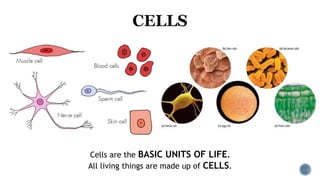 Cells are the BASIC UNITS OF LIFE.
All living things are made up of CELLS.
 