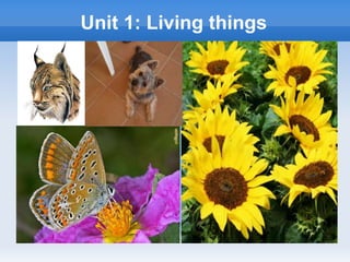 Unit 1: Living things
 