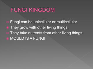  Fungi can be unicellular or multicellular.
 They grow with other living things.
 They take nutrents from other living things.
 MOULD IS A FUNGI
 