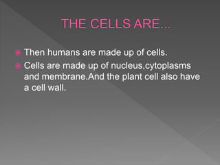  Then humans are made up of cells.
 Cells are made up of nucleus,cytoplasms
and membrane.And the plant cell also have
a cell wall.
 
