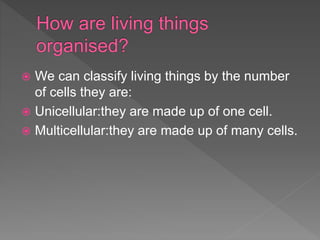  We can classify living things by the number
of cells they are:
 Unicellular:they are made up of one cell.
 Multicellular:they are made up of many cells.
 