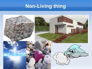 Non-Living thing
 