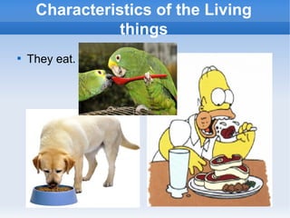 
They eat.
Characteristics of the Living
things
 