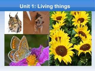 Unit 1: Living things
 