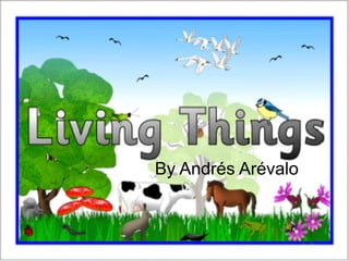 LIVING THINGS
By Andrés Arévalo
 