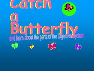 Catch
a
Butterfly
Catch
a
Butterfly
 
