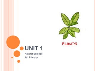 UNIT 1
Natural Science
4th Primary
 