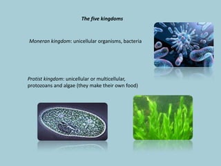The five kingdoms

Moneran kingdom: unicellular organisms, bacteria

Protist kingdom: unicellular or multicellular,
protozoans and algae (they make their own food)

 