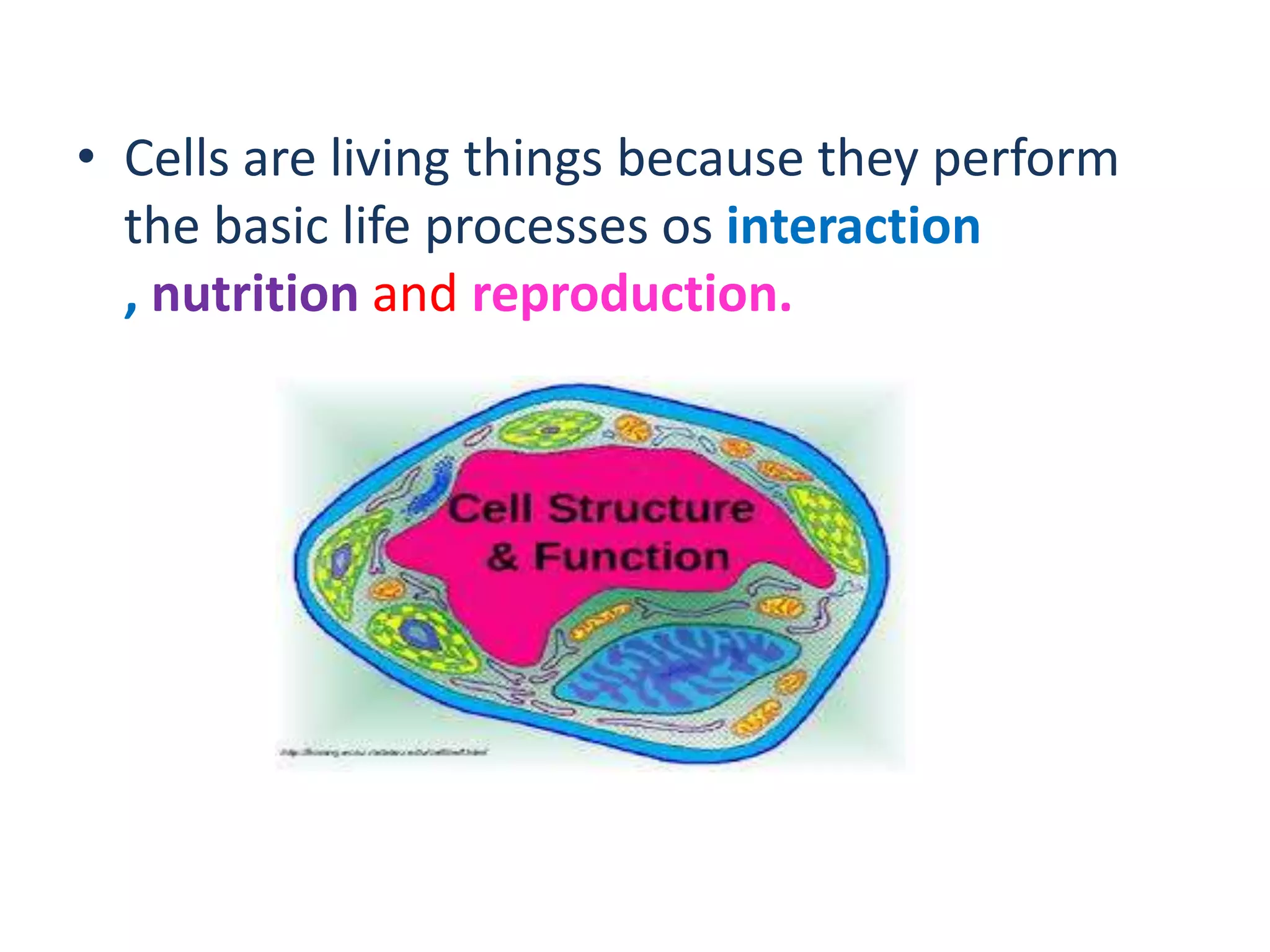• Cells are living things because they perform
the basic life processes os interaction
, nutrition and reproduction.

 