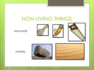 NON-LIVING THINGS
MAN-MADE
NATURAL