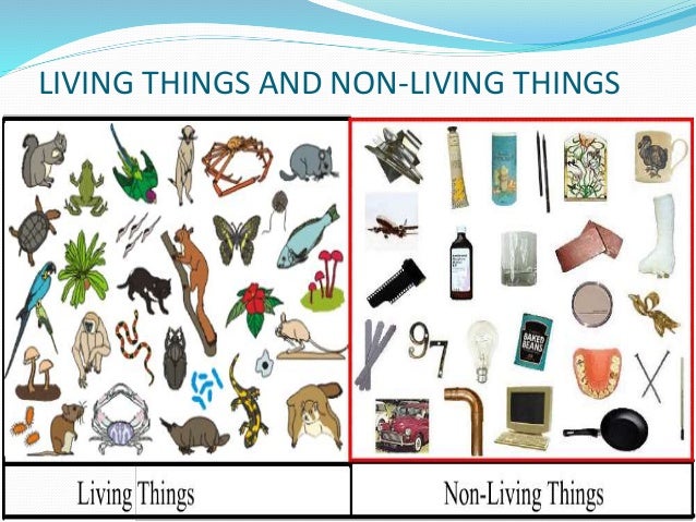 living things versus nonliving things Living and nonliving things things which can grow, move, breathe and reproduce are called living things living things can also feel emotions like anger, fe. living things versus nonliving things Living and nonliving things things which can grow, move, breathe and reproduce are called living things living things can also feel emotions like anger, fe.