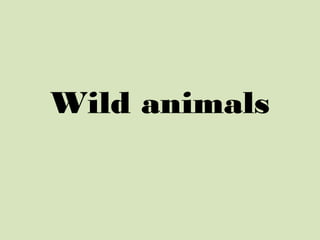 Living things and animals