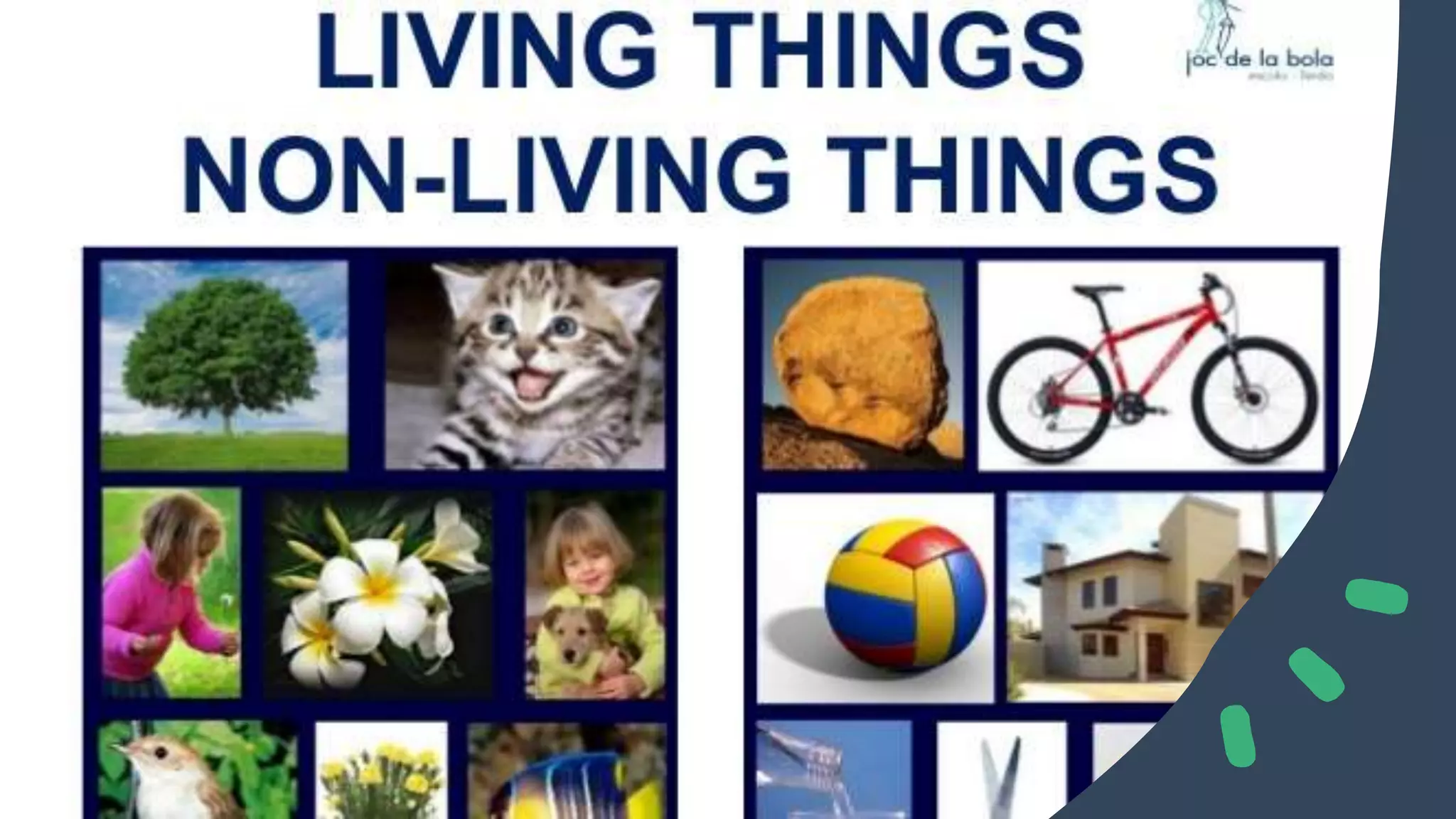 living-things-and-grade6-day-1-pptx