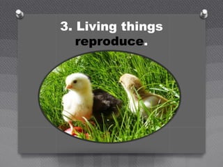 3. Living things
reproduce.
 