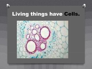 Living things have Cells.
 