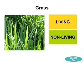 Living things and non living things (with license) | PPT