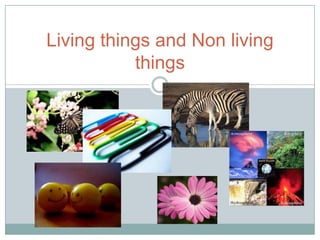 Living things and Non living
           things
 