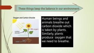 Human beings and
animals breathe out
carbon dioxide which
is taken by plants.
Similarly, plants
produce oxygen that
we need to breathe.
Oxygen and Carbon Dioxide
 