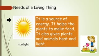 sunlight
It is a source of
energy. It helps the
plants to make food.
It also gives plants
and animals heat and
light.
Needs of a Living Thing
 