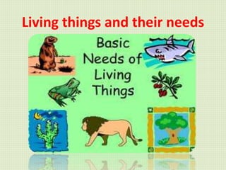 Living things and their needs
 