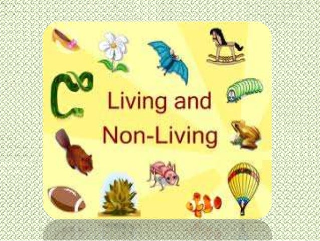 Living things and their needs