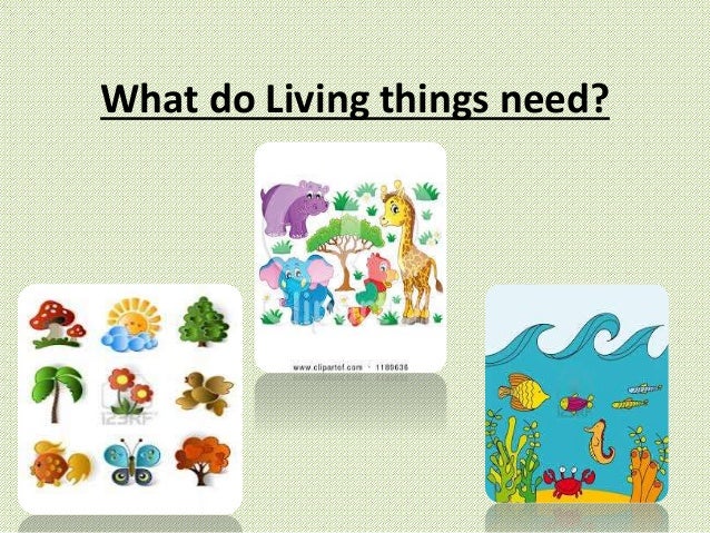Living things and their needs
