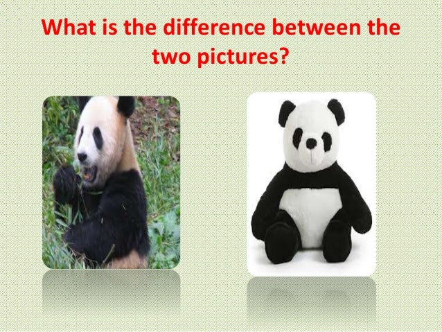 Living things and their needs wiki