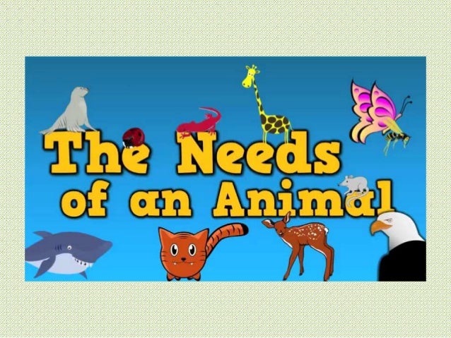 Living things and their needs wiki