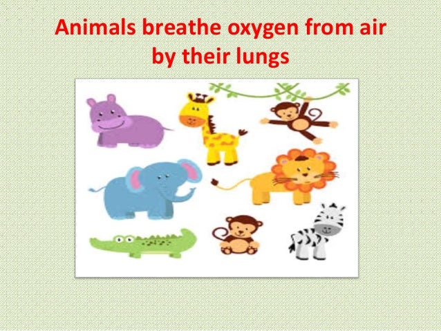 Living things and their needs wiki