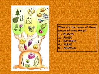 What are the names of these
groups of living things?
1.- PLANTS
2.- FUNGI
3.- BACTERIA
4.- ALGAE
5.- ANIMALS
1
5
4
3
2
 