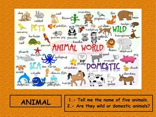 ANIMAL 1.- Tell me the name of five animals.
2.- Are they wild or domestic animals?
 