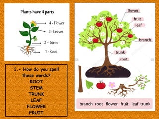 1.- How do you spell
these words?
ROOT
STEM
TRUNK
LEAF
FLOWER
FRUIT
 