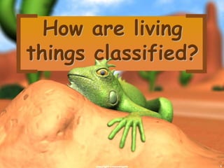 How are living
things classified?
1copyright cmassengale
 
