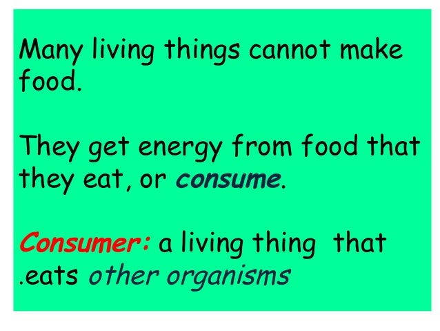 A Living Thing That Makes Its Own Food For Energy A Living Thing That Makes Its Own Food For Energy