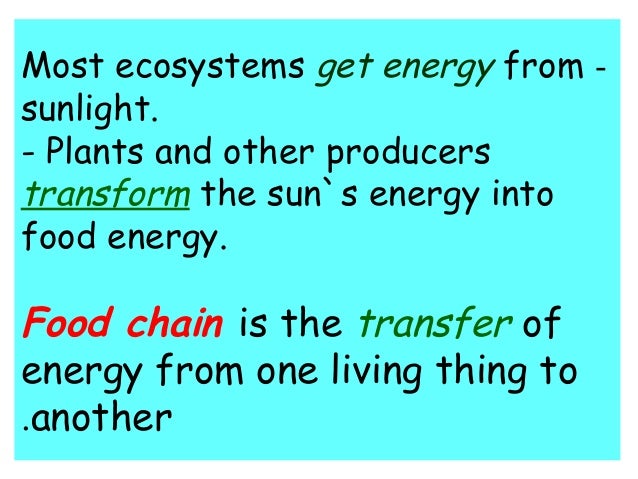 A Living Thing That Makes Its Own Food For Energy A Living Thing That Makes Its Own Food For Energy