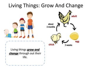 Living Things: Grow And Change
Living things grow and
change through out their
life.
 