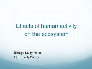 Effects of human activity
on the ecosystem
Biology Study Notes
GCE Study Buddy
 