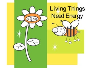 Living Things
Need Energy
 