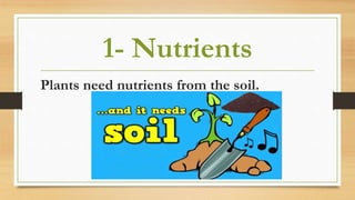 1- Nutrients
Plants need nutrients from the soil.
 