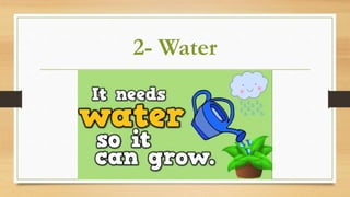2- Water
 