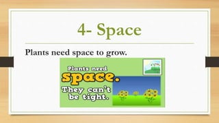 4- Space
Plants need space to grow.
 
