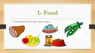 1- Food
• Animals need food to give them energy.
 
