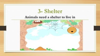 3- Shelter
Animals need a shelter to live in
 