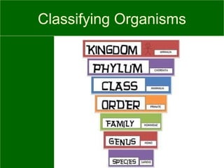 Classifying Organisms
 
